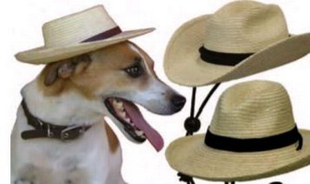 Sunbody Miniature Gus Hat