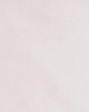 Wyoming Traders Solid Silk Scarves-white