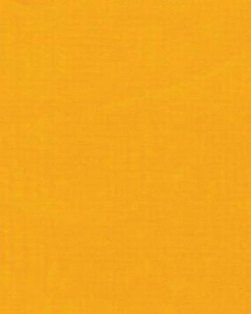 Wyoming Traders Solid Silk Scarves-yellow