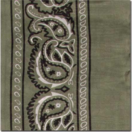 Wyoming Traders Bandanas Silk Scarf-sage
